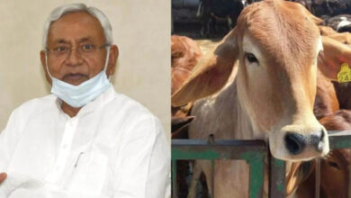 Bihar Govt Announces 75% Subsidy on Cattle Insurance