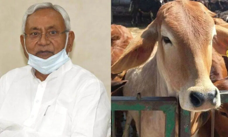 Bihar Govt Announces 75% Subsidy on Cattle Insurance