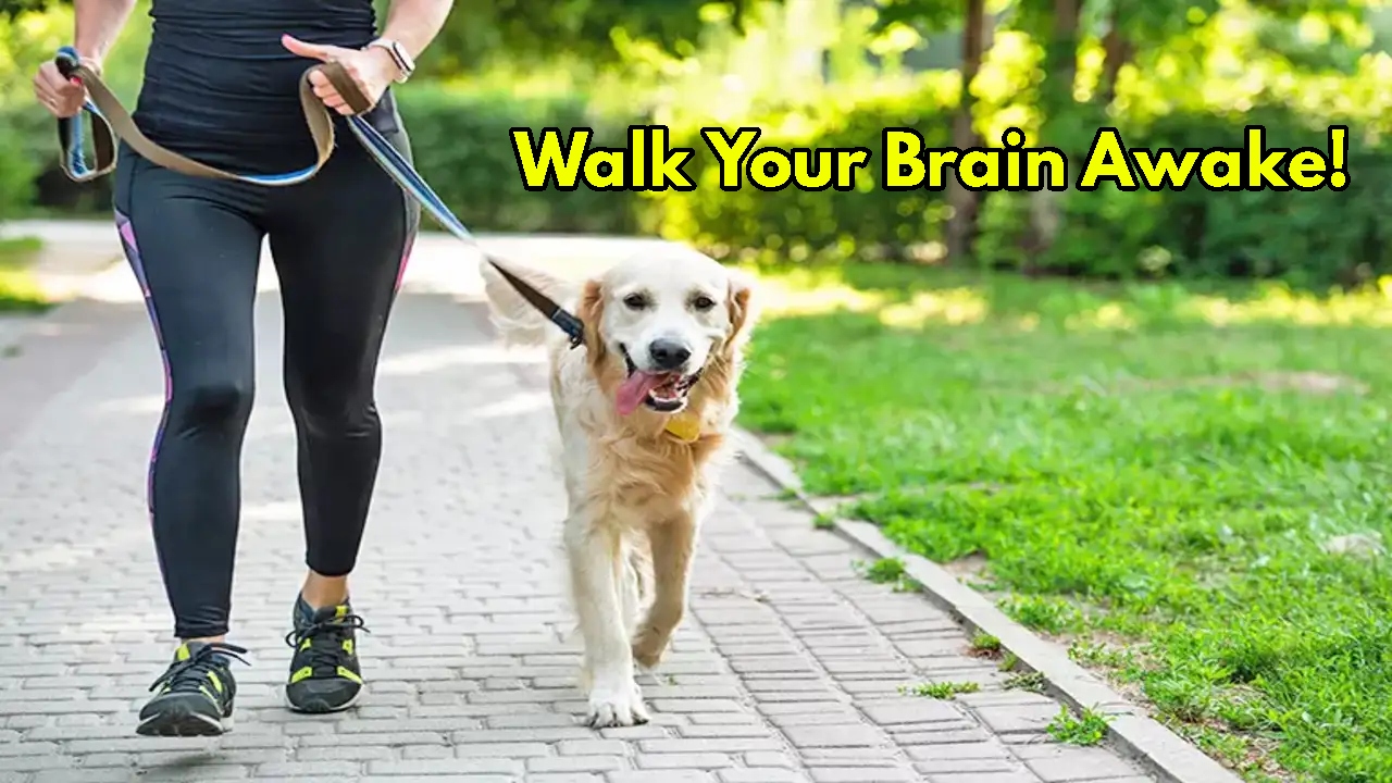 Walking Does More Than Burn...