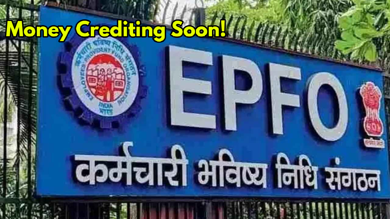 EPFO 2025: 8.25% Interest Rate...