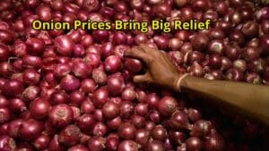 Onion Prices Show Big Drop:...