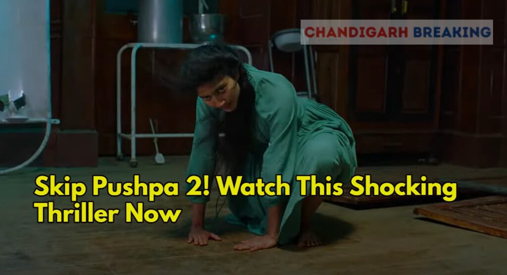 Skip Pushpa 2! Watch This Shocking Thriller Now