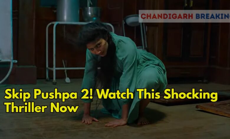 Skip Pushpa 2! Watch This Shocking Thriller Now