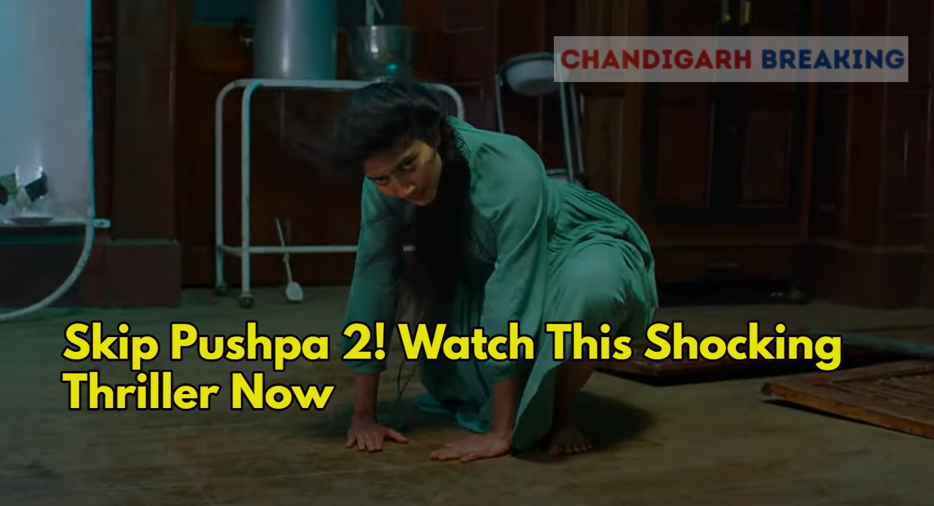Skip Pushpa 2! Watch This Shocking Thriller Now