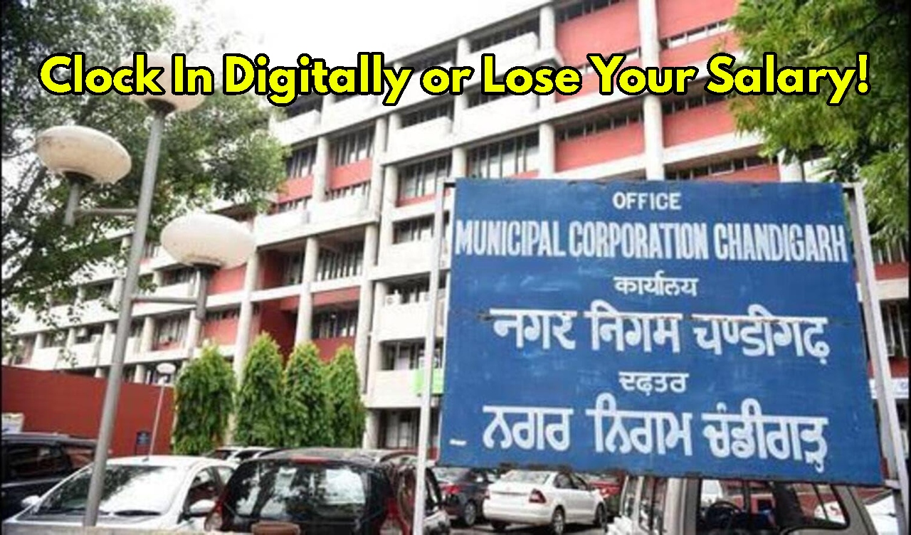 Chandigarh MC New Rule: No...