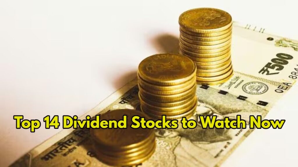 Top 14 Dividend Stocks to Watch Now