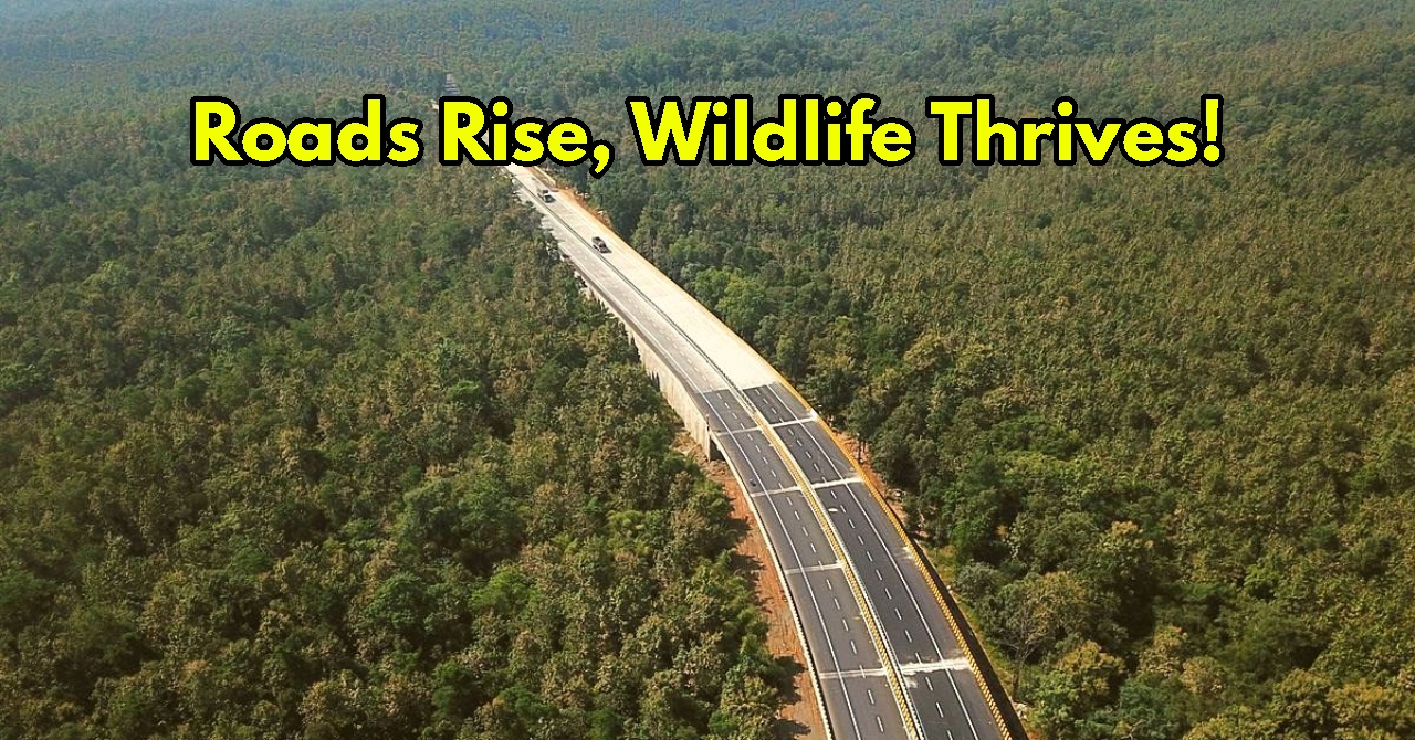 Punjab Clears ₹2,000 Cr Wildlife...