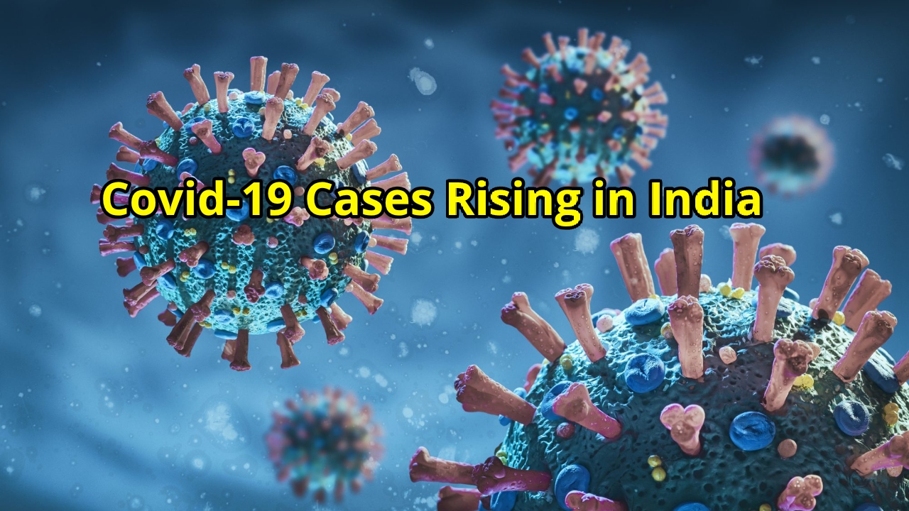 India Sees Steady Increase