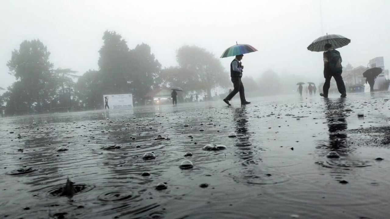 Weather Forecast for 10 May:...