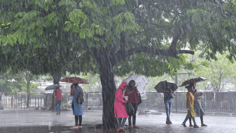 Weather Forecast for 8 may