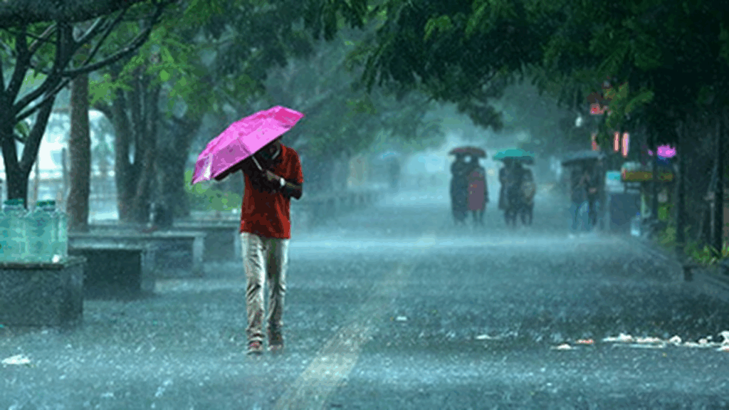Weather forecast for 11 May: Rainfall in most places