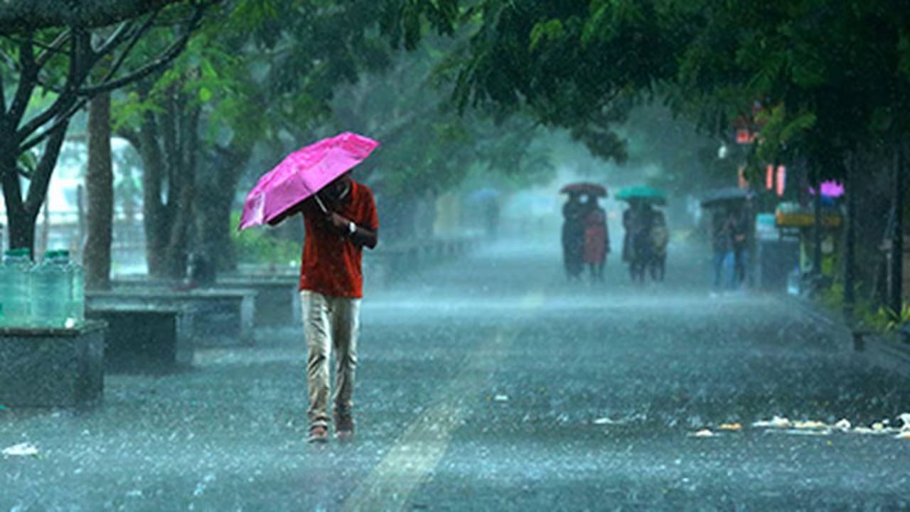 Weather forecast for 11 May:...