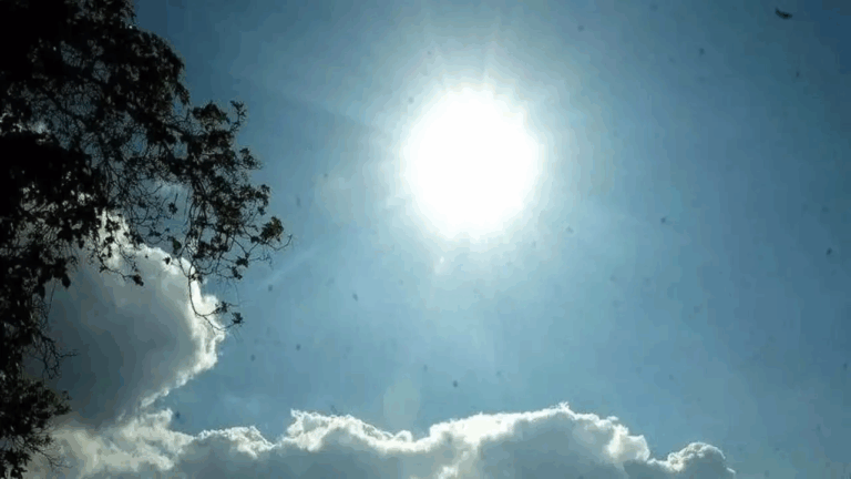 Weather Forecast: Check the weather forecast for 14 May here
