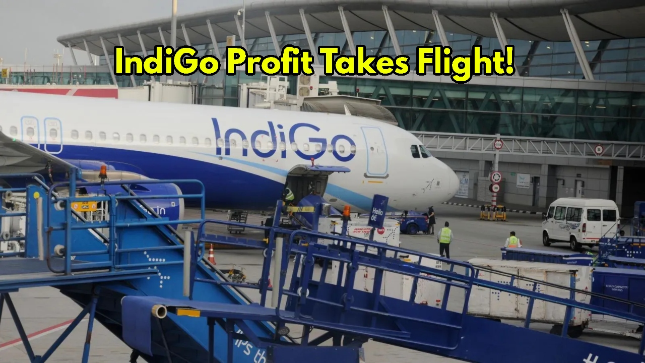 IndiGo Soars 62% to Record...
