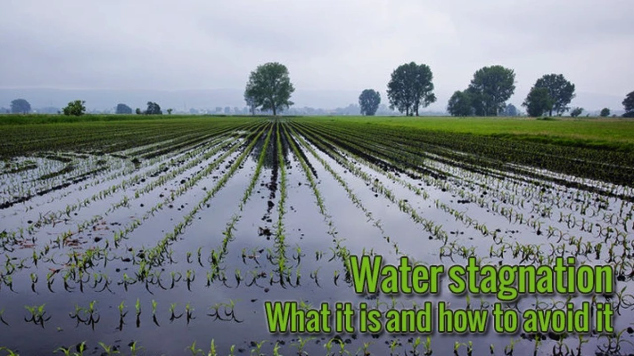 Prevent water stagnation