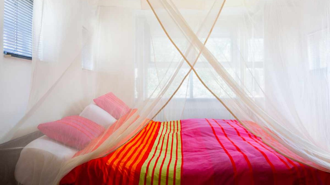 Use of mosquito nets and repellents