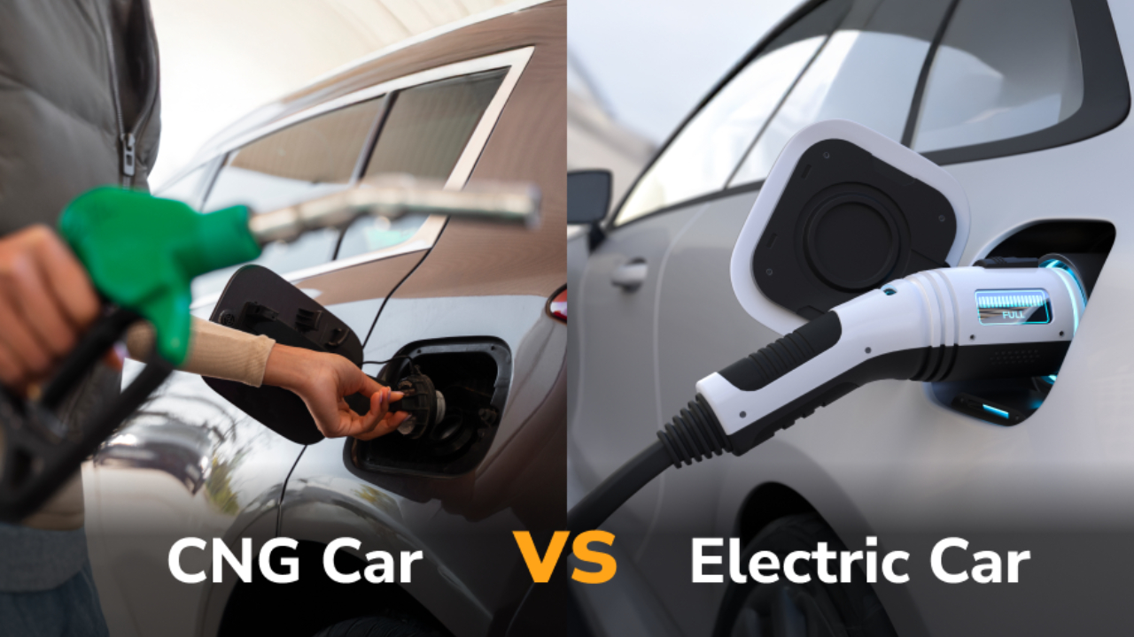 Which is Better in 2025...