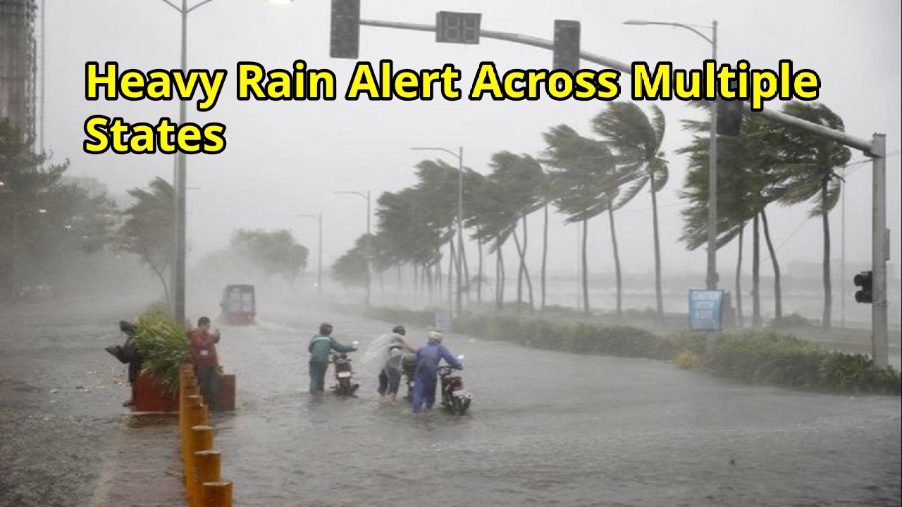 Monsoon Mayhem: IMD Forecasts