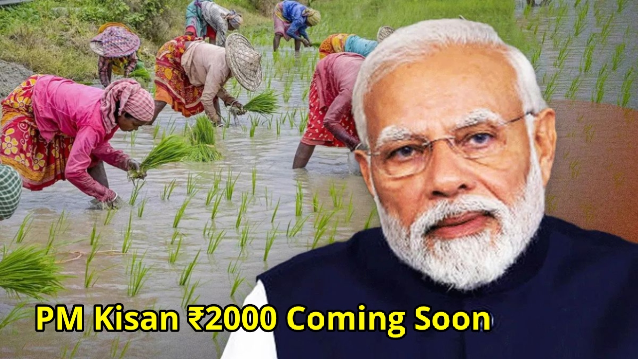 PM Kisan Yojana Update:
