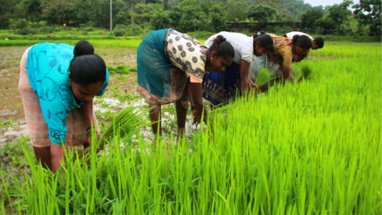 10 Govt Schemes for Farmers