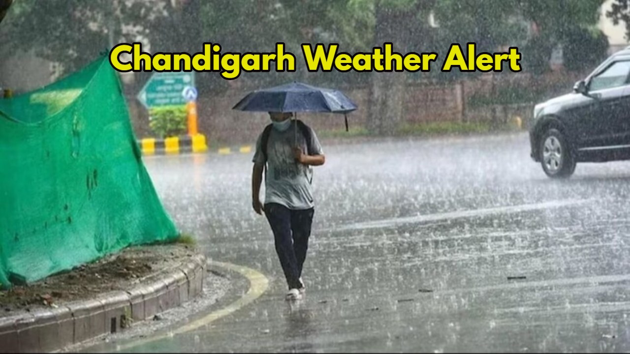 Chandigarh Weather Alert