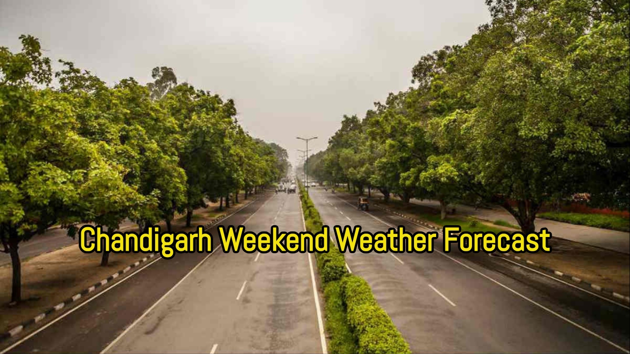 Chandigarh Weekend Weather Forecast