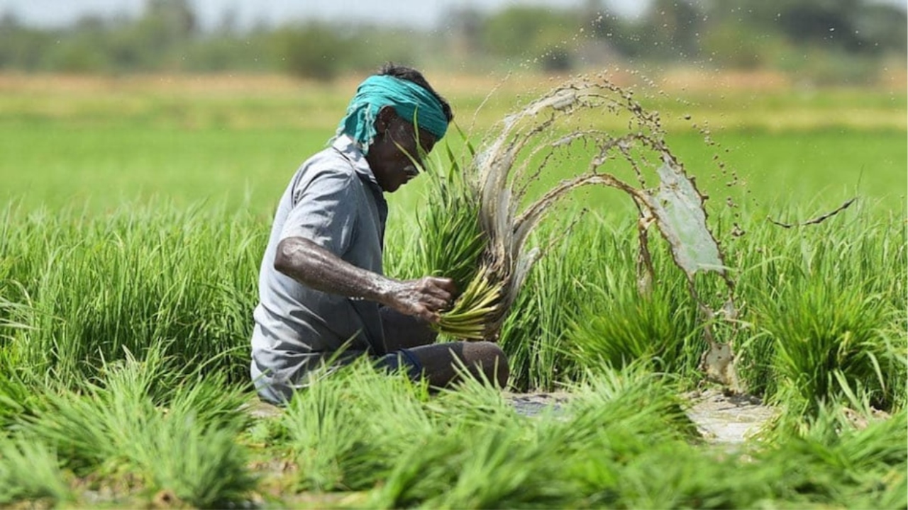 PM Fasal Bima Yojana 2025