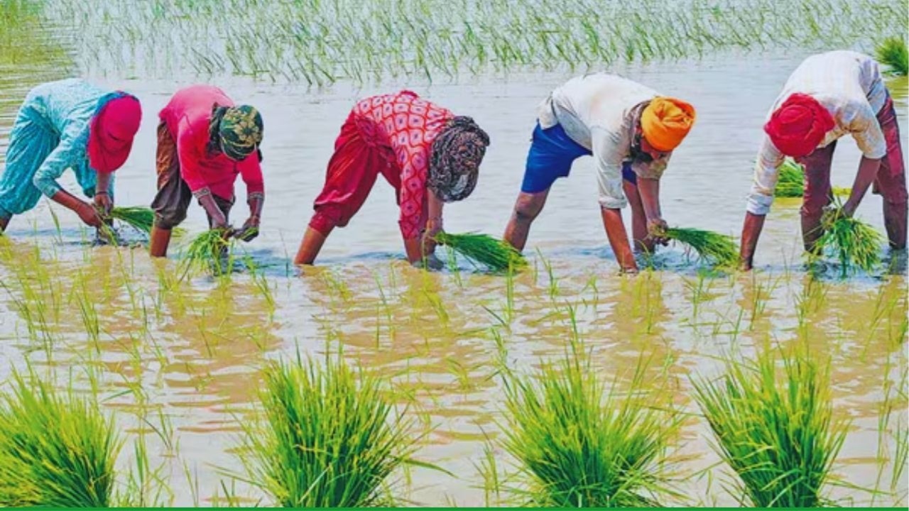 PM Fasal Bima Yojana 2025
