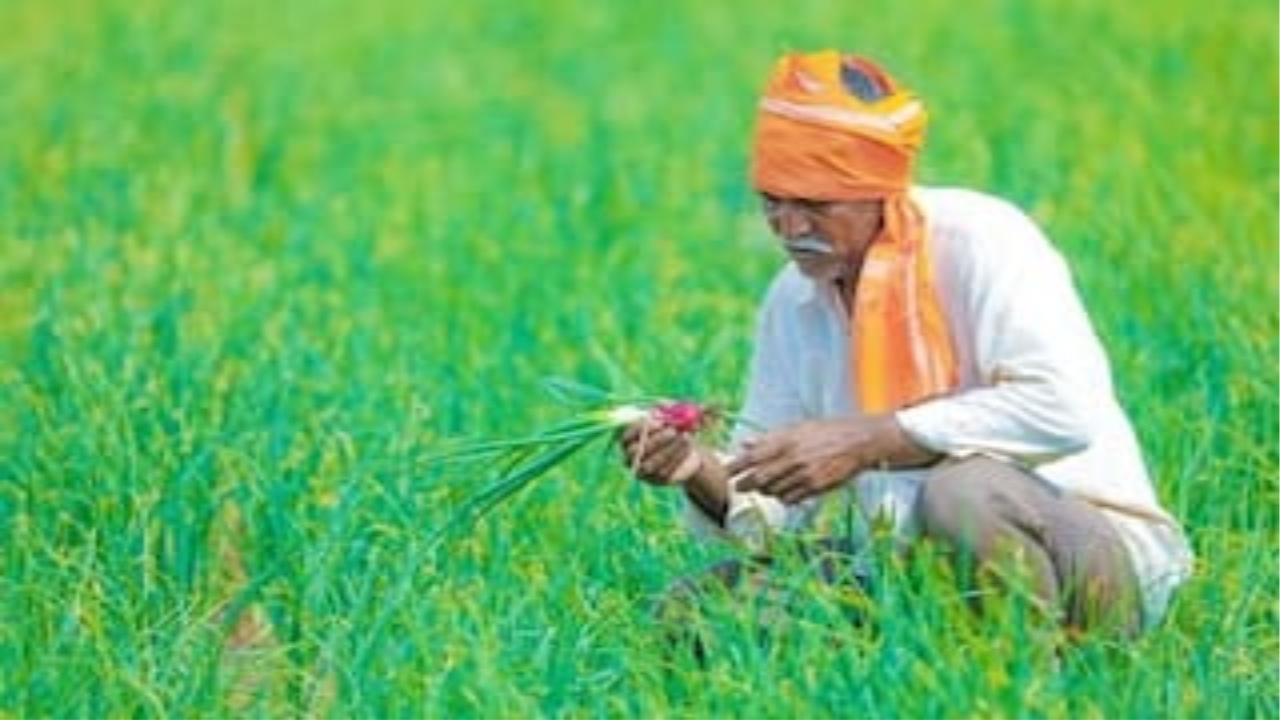 PM Kisan 20th Installment Update 