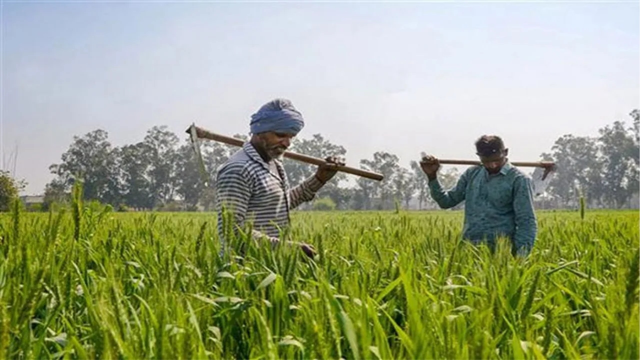 PM-Kisan-20th-installment-2025
