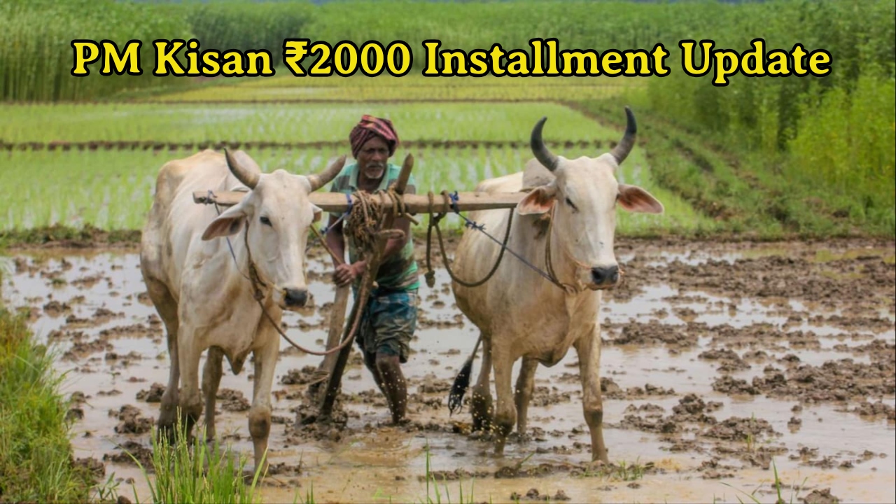 PM Kisan ₹2000 Installment Update