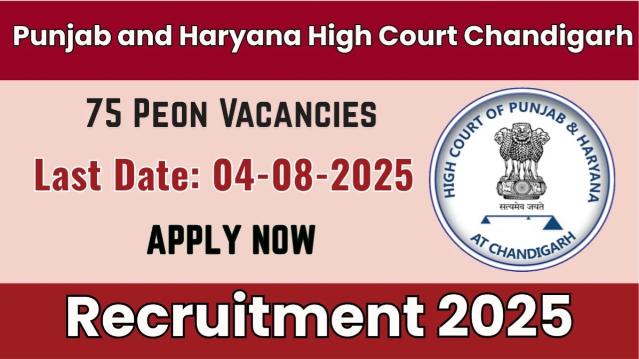 punjab haryana court jobs 2025