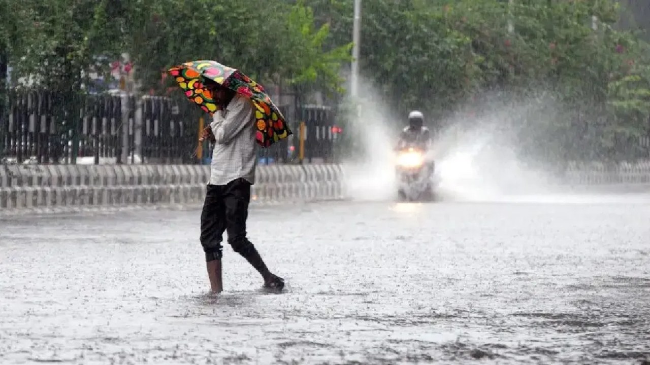 Chennai Weather Forecast: IMD Predicts Rain, Sunshine and Rising Heat Across Tamil Nadu