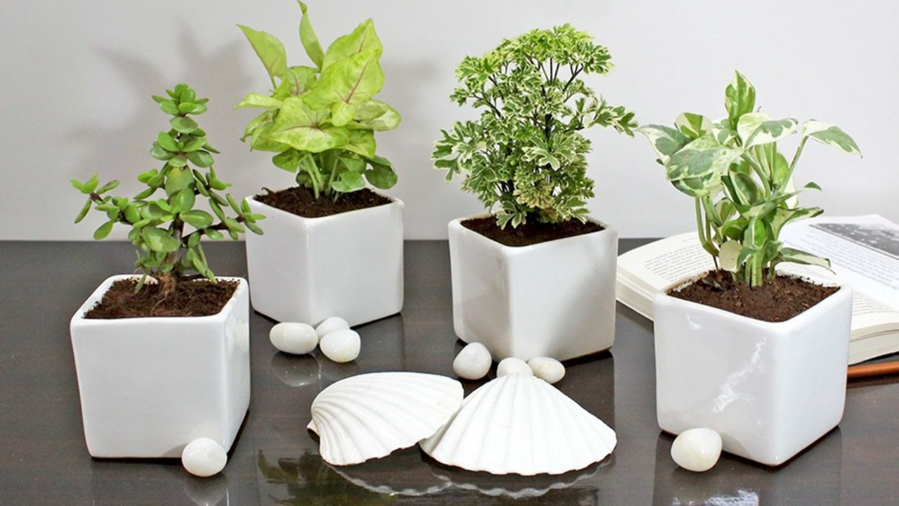 Vastu Shastra Tips